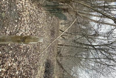 Casă cu Teren 2388 Mp în Fântânele - 2