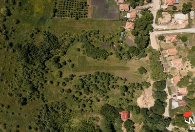 Exclusivitate! Teren pentru investitie - 3