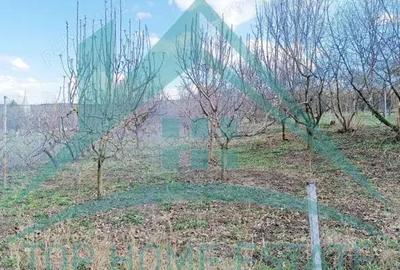 Teren în Central - 3