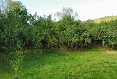 TEREN 1869 MP, CADRU NATURAL SUPERB, TOATE UTILITATILE - 4