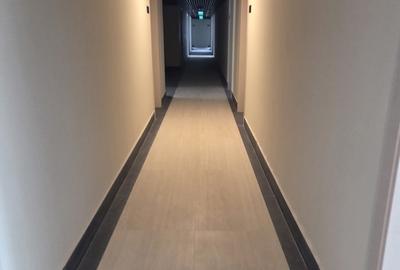 Garsonieră semidecomandată în Nord - 7