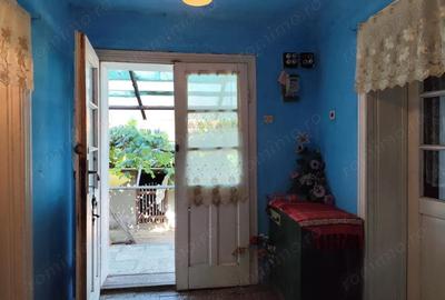 Casă cu 2 camere cu Teren 4600 Mp în Calea Mare - 9