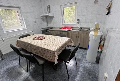 Casa in Moroeni, in afara satului, langa  parau, inconjurata de o padure de pini - 14