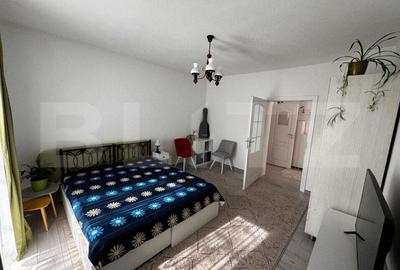 Casa ideala cu 5 camere, 1514 mp teren, in centrul ora?ului Sebes - 4