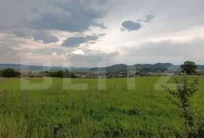 Casă cu 4 camere cu Teren 21500 Mp în Dej - 2