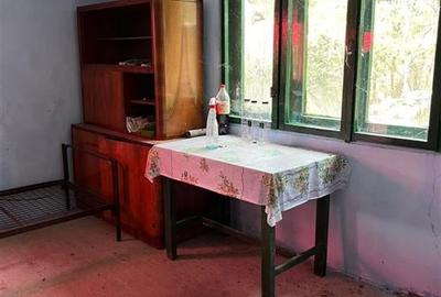 RECO Casa batraneasca cu teren generos la Lupoaia -Holod - 8