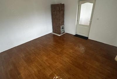 Casă cu 2 camere cu Teren 2700 Mp în Mica - 9