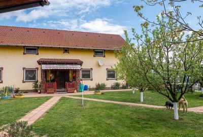 Casă cu 5 camere cu Teren 1450 Mp în Central - 4