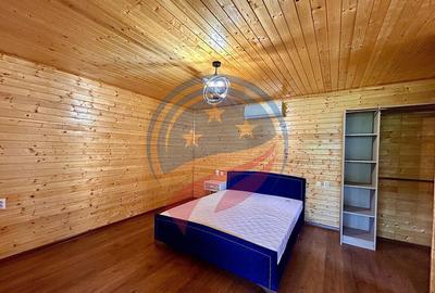 Casă cu 4 camere cu Teren 1640 Mp în Dubova - 9