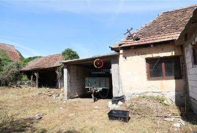Casă individuală cu 3 camere cu Teren 2556 Mp în Bruiu - 8