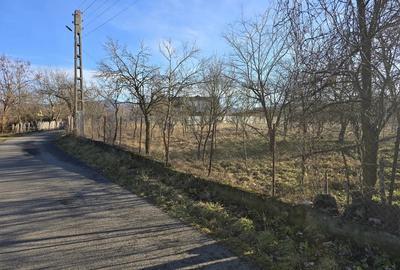 Casă cu 6 camere cu Teren 1400 Mp în Chitid - 3