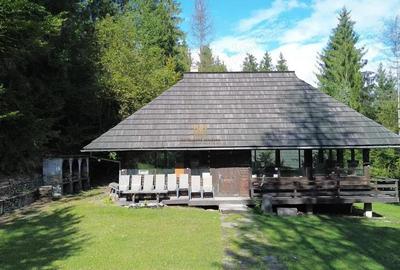 Complex Turistic - Zona Gura Humorului! - 4