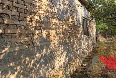 Casa si gradina cu livada 1683 mp - 48.500 euro - Topolovatu Mare - 6