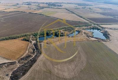 Teren de 10 mp, în Sârbova - 14