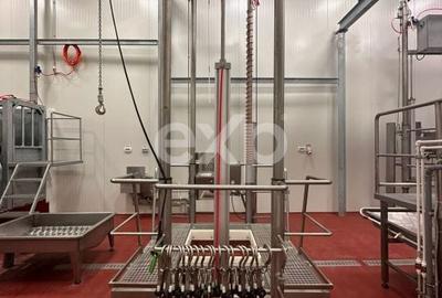 Teren de 105000 mp, în Singureni - 12