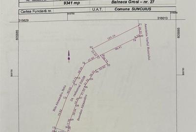 TEREN | 9341 MP | BALNACA GROSI | BIHOR - 1