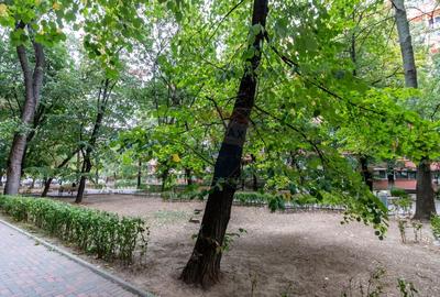 Vanzare apartament 2 camere in Campia Libertatii/Parcul IOR - 16