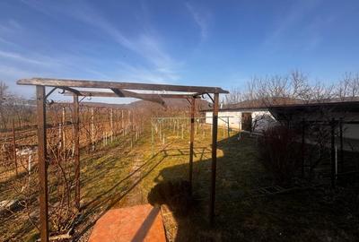 Casă individuală cu 3 camere cu Canalizare în Nord-Vest - 18