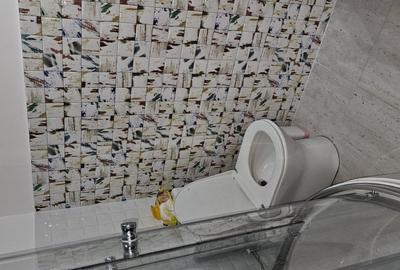 Casă cu 4 camere cu Teren 100 Mp în Theodor Pallady - 6