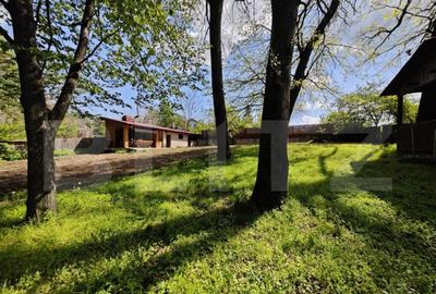 Padure in Barnova 1800 mp + 600 mp teren pentru casa - 2