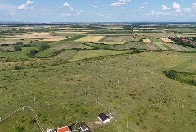 Teren Construcții intravilan de 665 mp, în Moșnița Nouă - 3