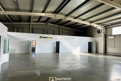Hala mixta 800 mp de inchiriat – showroom, birouri, depozit – Arad - 4