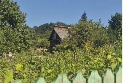 Casa si teren cota parte 3/16, Vladiceni, ID: R2764937 - 2