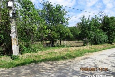 Teren de 1270 mp, în Drajna - 5