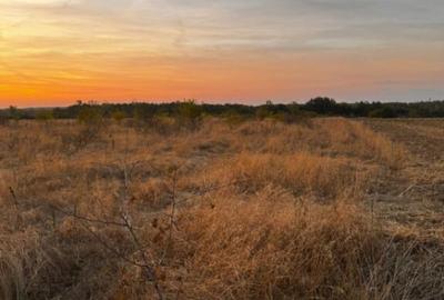 Teren extravilan 5000 , 2,5 euro mp BREASTA - 3