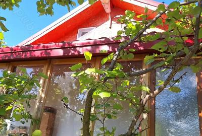 Vand casa cu teren 2093 mp Murgesti Buzau - 3