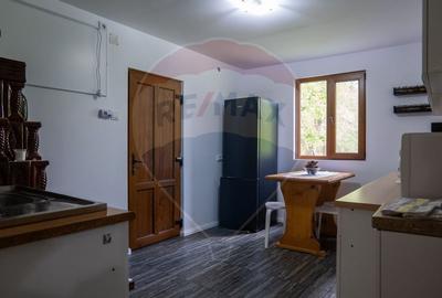 Vanzare vila, Stefesti-Prahova - 11