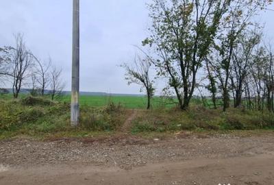 Teren de 3000 mp, în Brănești - 4