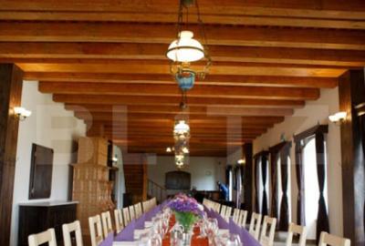 Conac de vanzare 7 camere cu bai proprii, crama, ciubar ? - 22