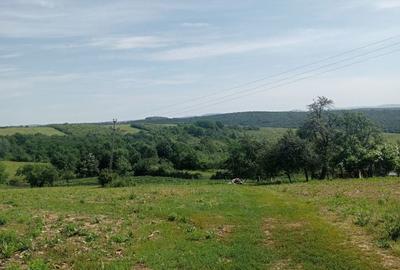 Spațiu comercial, în Central - 2