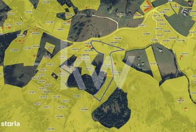 Teren de 18044 mp, în Dâmbovicioara - 9