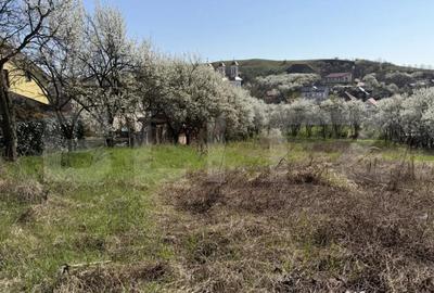 Teren în Crișeni - 2