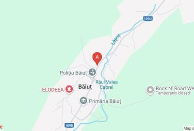 Casa de vacanta in Baiut - 15