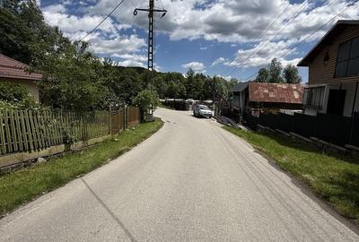 Teren Construcții intravilan de 1859 mp, în Provița de Sus - 16