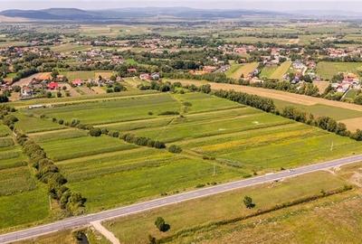Teren extravilan Lunca Calnicului langa E574 - 9