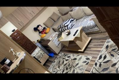 Vând garsonieră mobilată (garaj și magazie de lemne) - 2