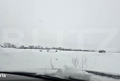 Spațiu comercial, în Giroc - 1