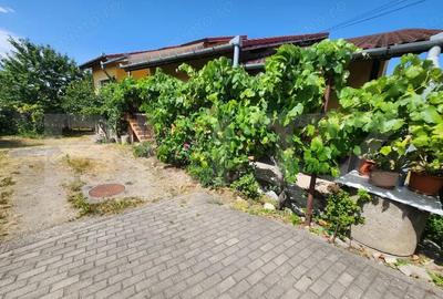 Casa individuala cu 3 camere, 371 mp,zona Centru - 13