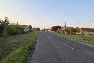 Teren de 1600 mp, în Sacoșu Turcesc - 5