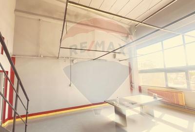 DE INCHIRIAT Spatiu comercial de 120-480 mp in zona Bucurestii Noi - 7