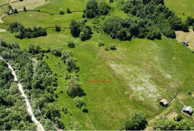 Teren intravilan si extravilan in Bucovina , Salatruc , Vama , Suceava - 5