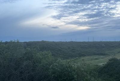 Spațiu comercial, în Central - 2