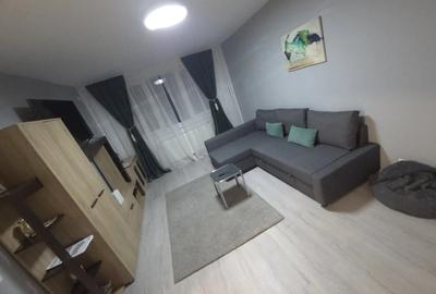 Apartament cu 2 camere decomandat în Ozana - 2