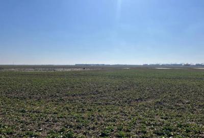 Teren de 5000 mp, în Central