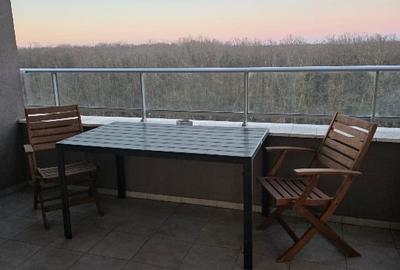 Apartament cu 2 camere semidecomandat, mobilat în Lipovei - 13