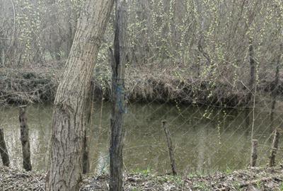 Casă cu 3 camere în Central - 3